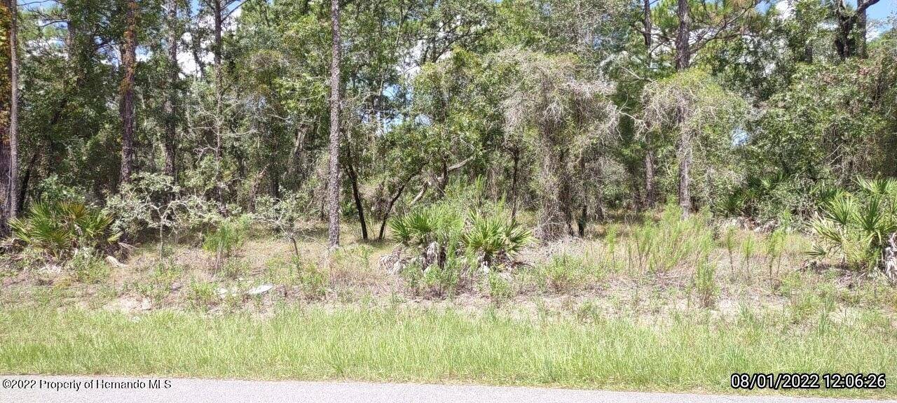 Weeki Wachee, FL 34614,0 Labrador Duck Road