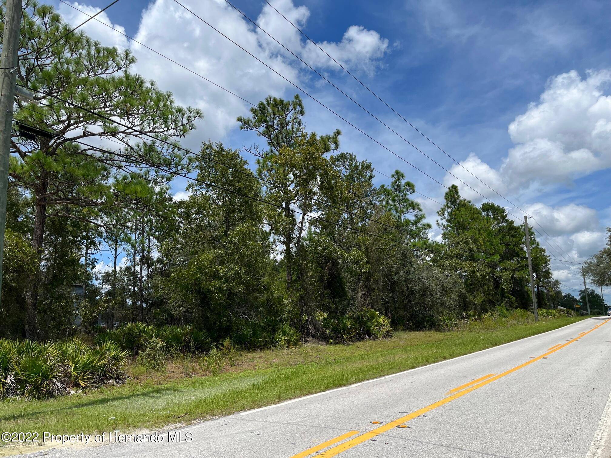 Weeki Wachee, FL 34613,Lot 6 Nightingale Road