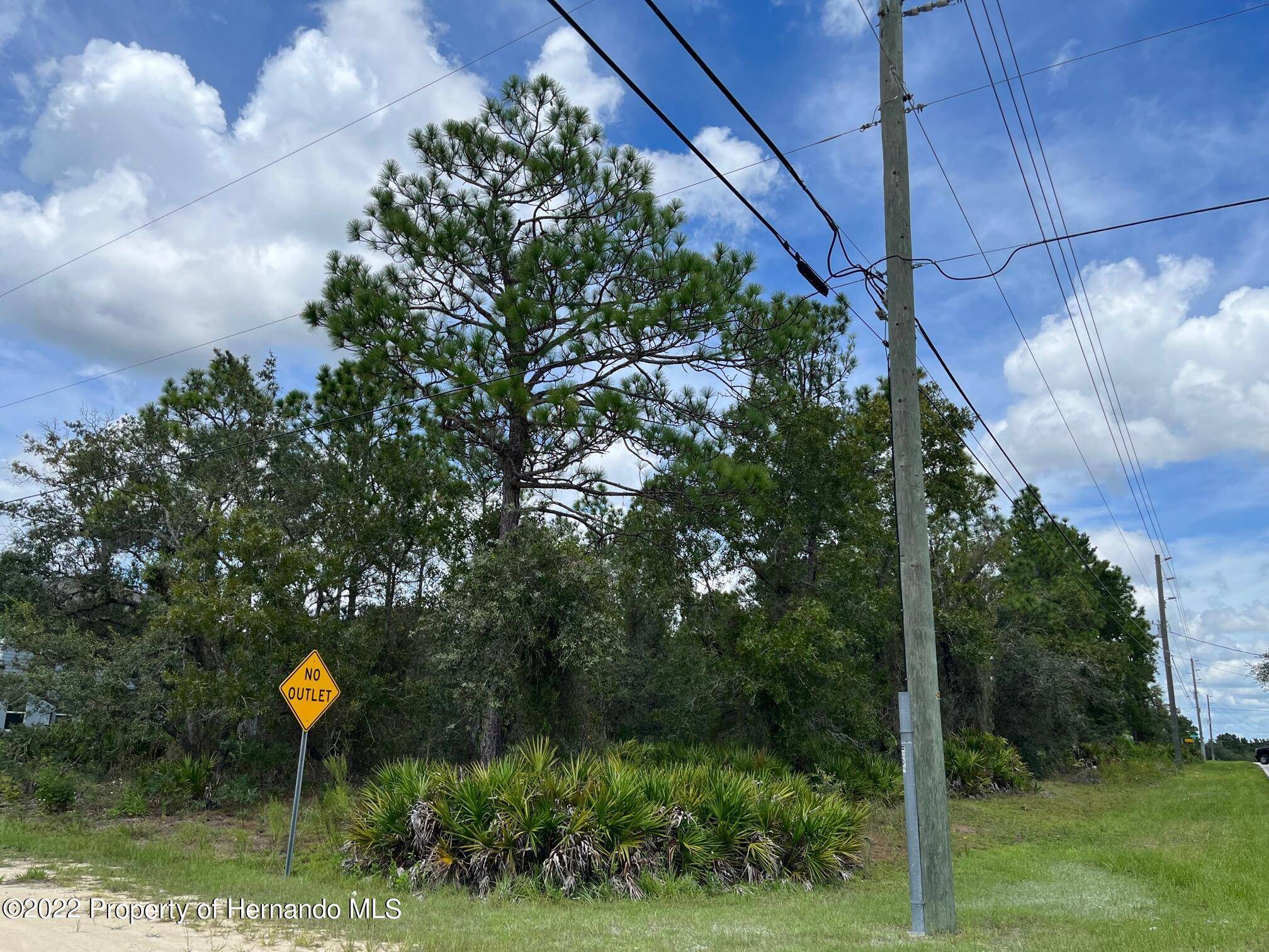 Weeki Wachee, FL 34613,Lot 6 Nightingale Road