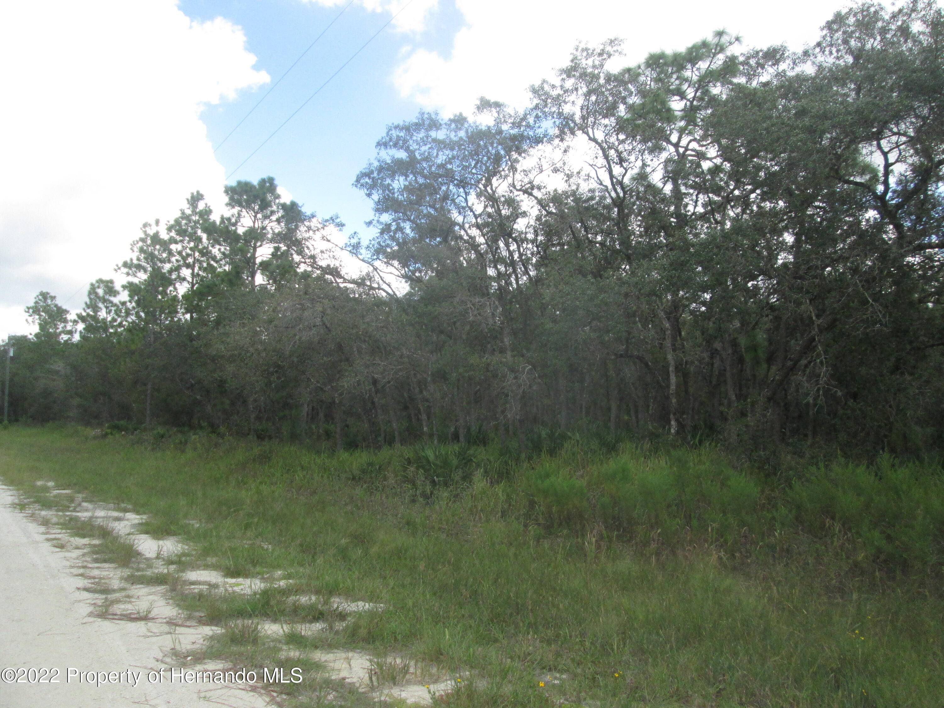 Weeki Wachee, FL 34614,0 Night Heron (Lot 7) Road