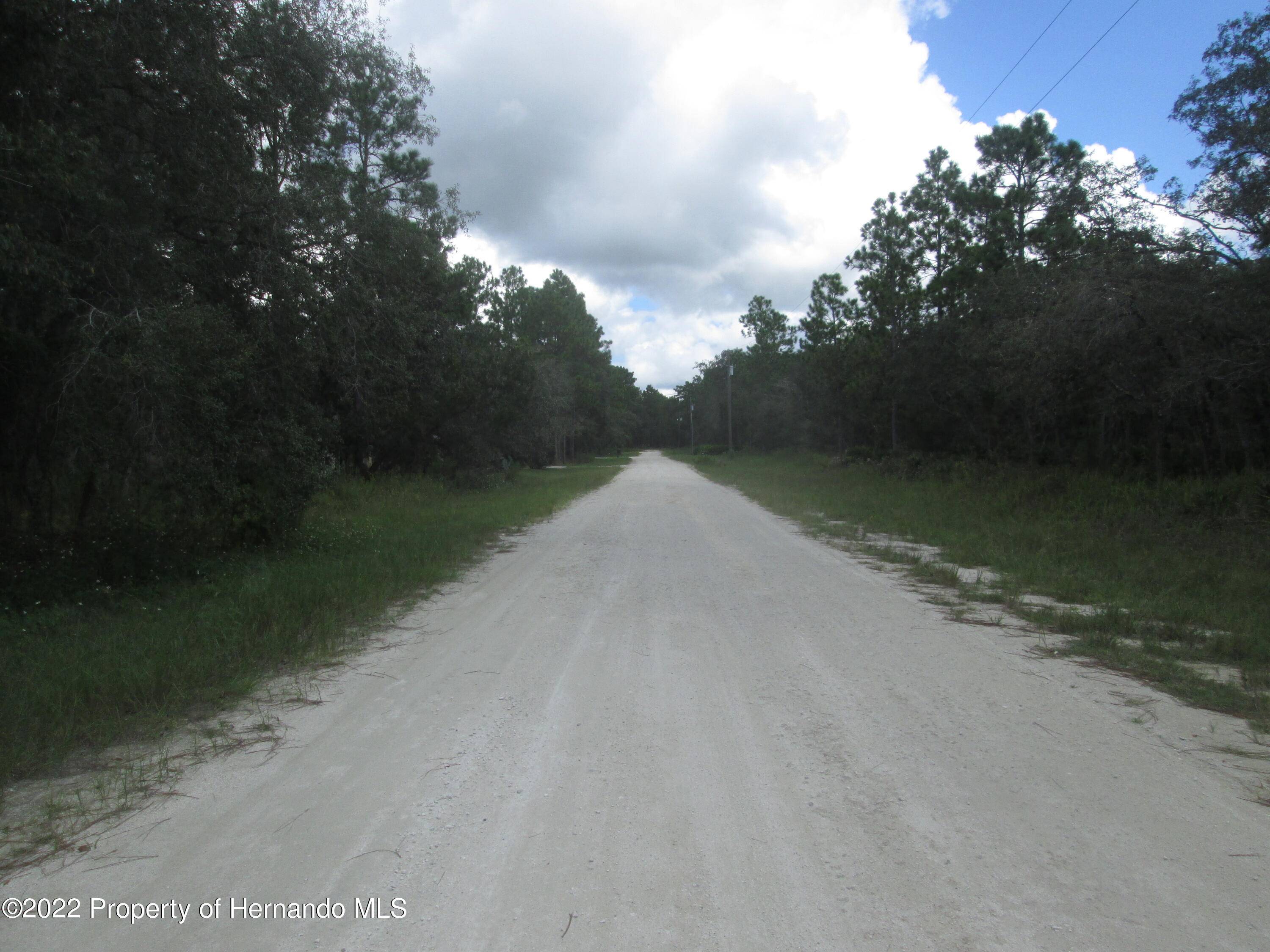 Weeki Wachee, FL 34614,0 Night Heron (Lot 7) Road