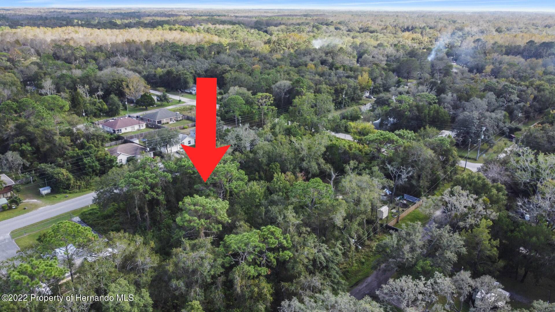 New Port Richey, FL 34654,0 Lake Drive #9