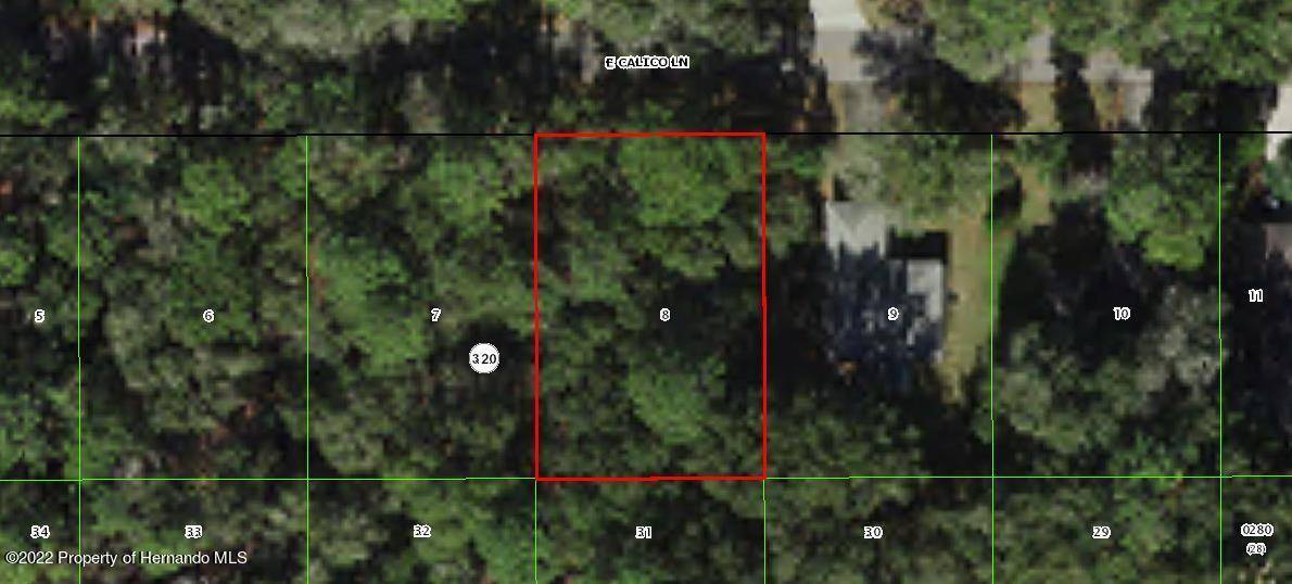 Inverness, FL 34452,6000 E Calico Lane