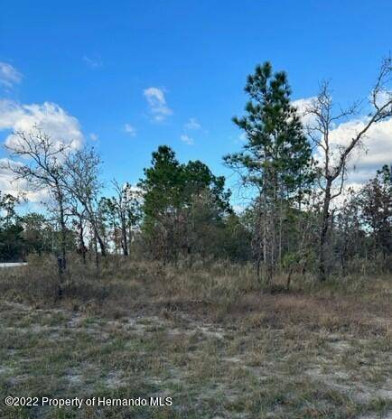 Weeki Wachee, FL 34614,0 SANDERS AVE - LOT 21