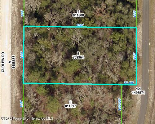 Weeki Wachee, FL 34614,16446 Curlew Road