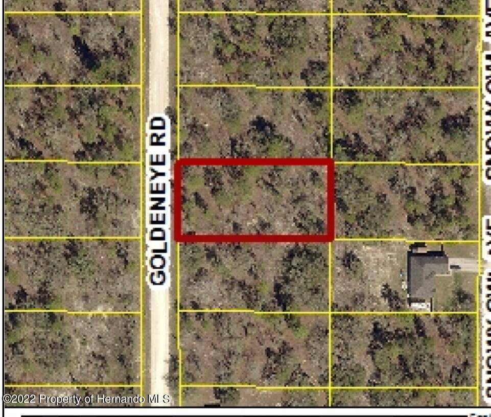 Weeki Wachee, FL 34614,0 Goldeneye Road