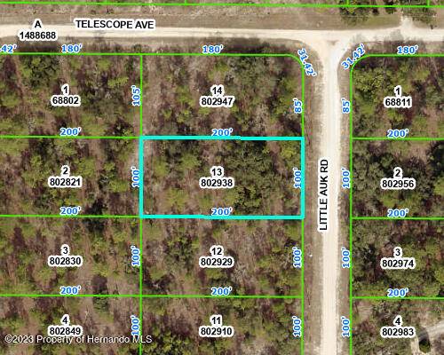 Weeki Wachee, FL 34614,LOT 13 LITTLE AUK Road