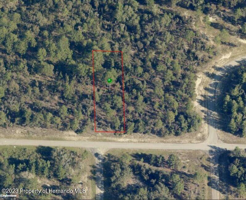 Citrus Springs, FL 34434,2333 W Windchime Loop