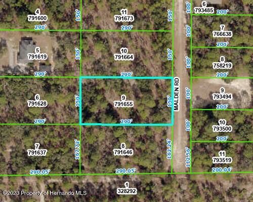 Weeki Wachee, FL 34614,LOT 9 MALDEN Road