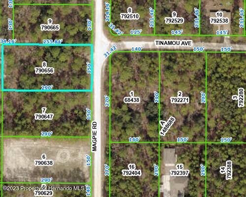 Weeki Wachee, FL 34614,lot 8 Magpie Road