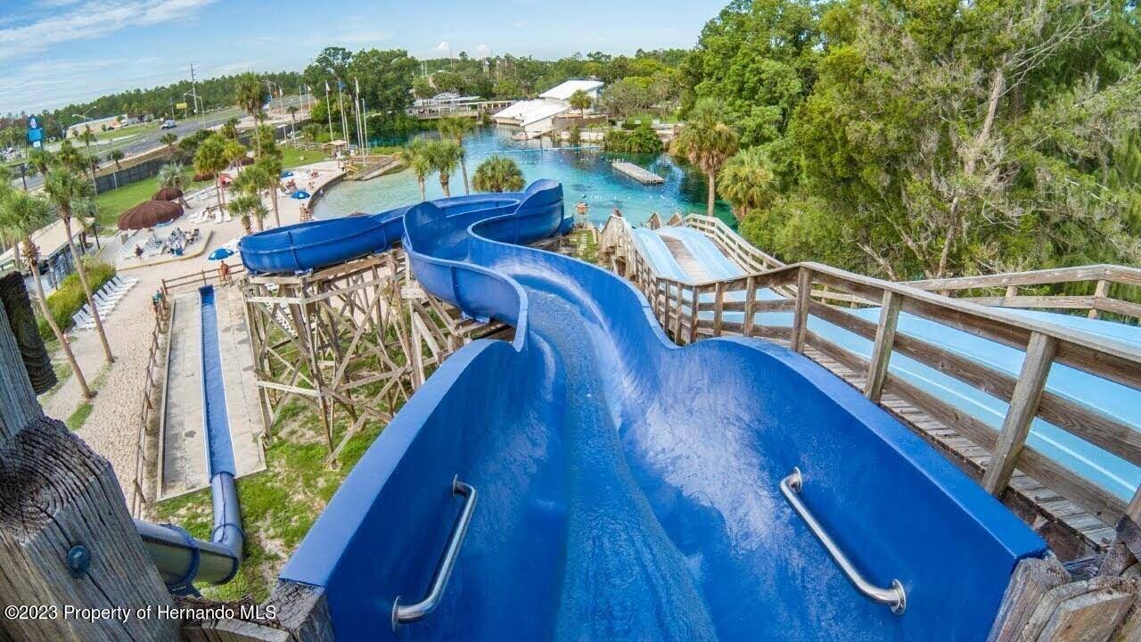 Weeki Wachee, FL 34614,14366 Condor