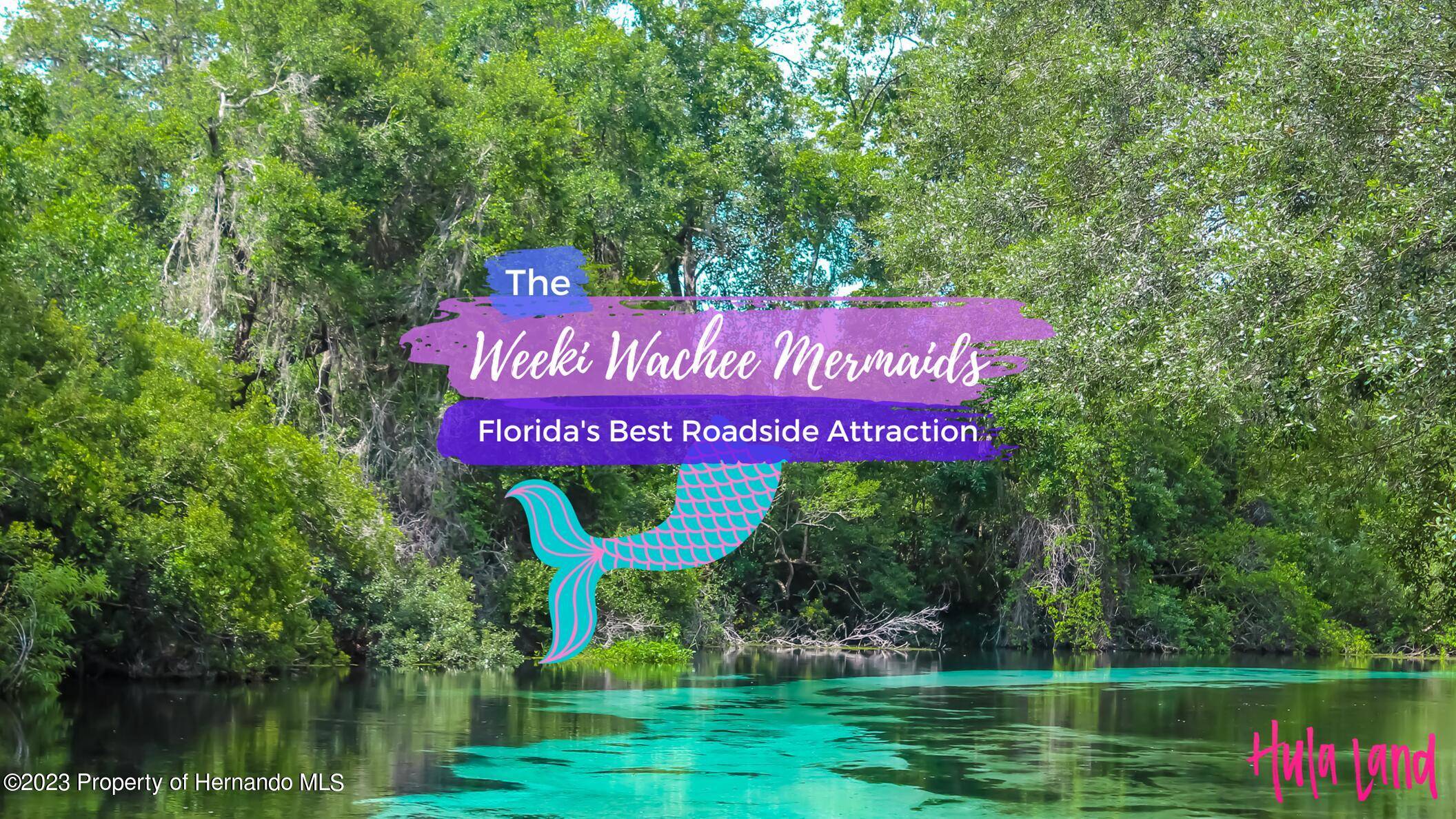 Weeki Wachee, FL 34614,14366 Condor