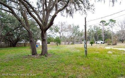 Hudson, FL 34669,13141 Grassy Lane