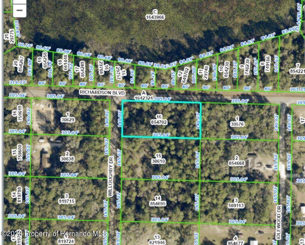 Webster, FL 33597,0 0 Willoughby