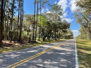 Webster, FL 33597,0 0 Willoughby