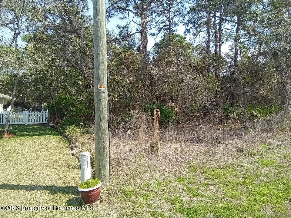 Spring Hill, FL 34613,0 Nuzum Road