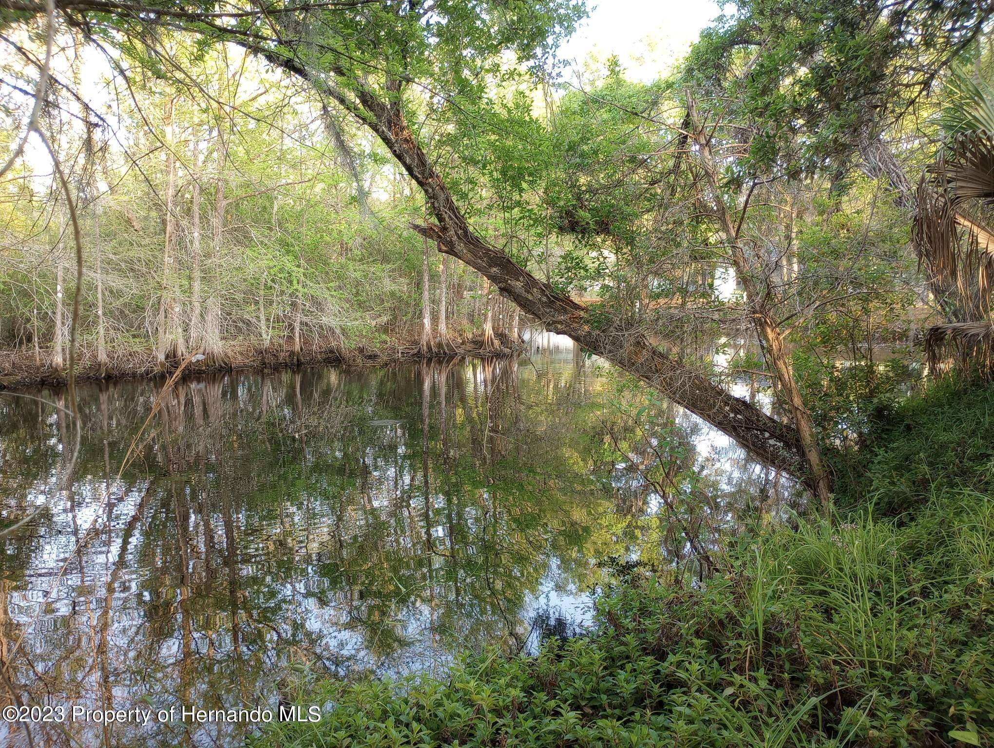 Floral City, FL 34436,11097 E Trout Court