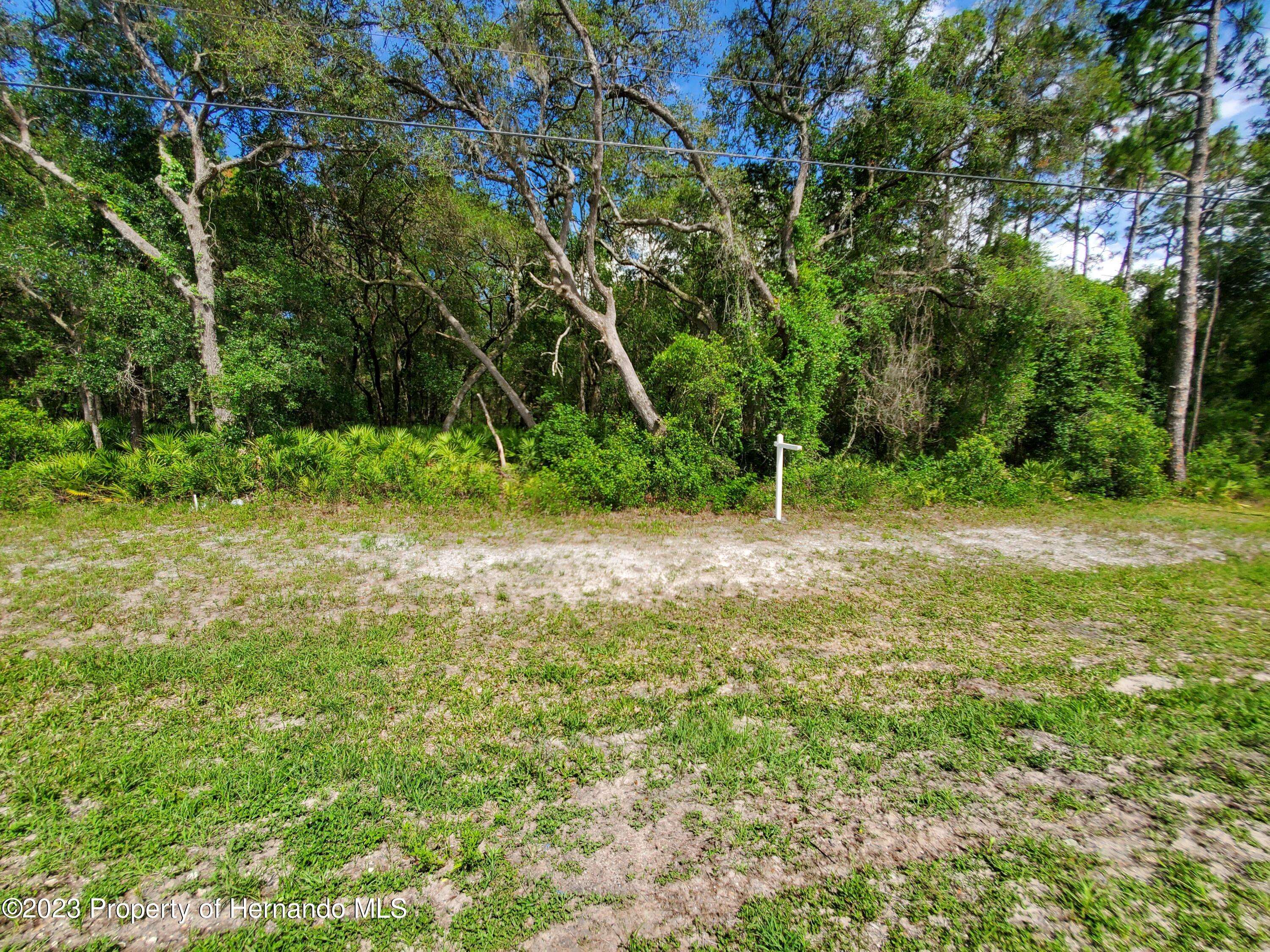 Dade City, FL 33523,Lot 89 TREIMAN Boulevard