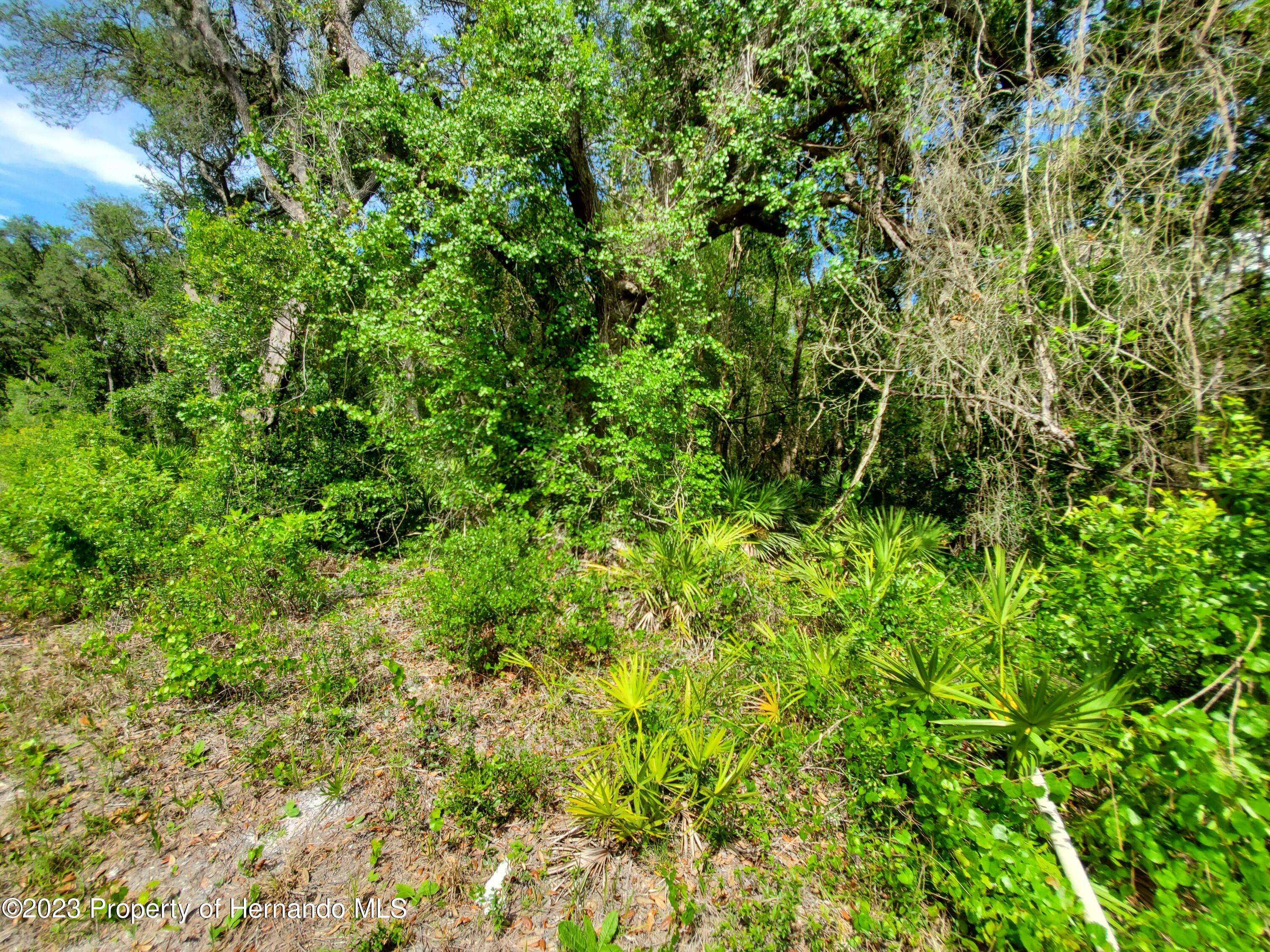 Dade City, FL 33523,Lot 89 TREIMAN Boulevard