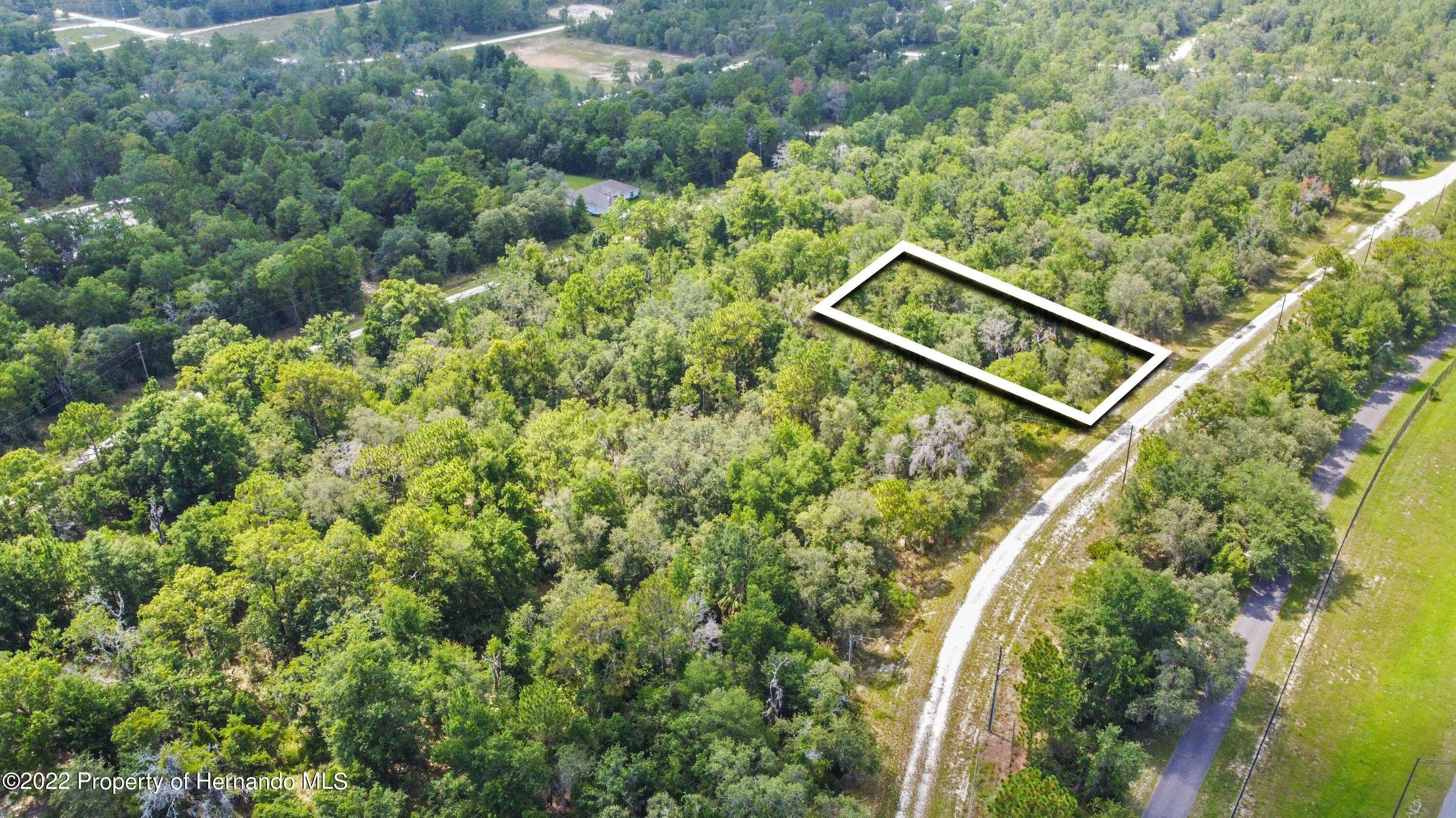 Weeki Wachee, FL 34614,00 Curlew Road #13