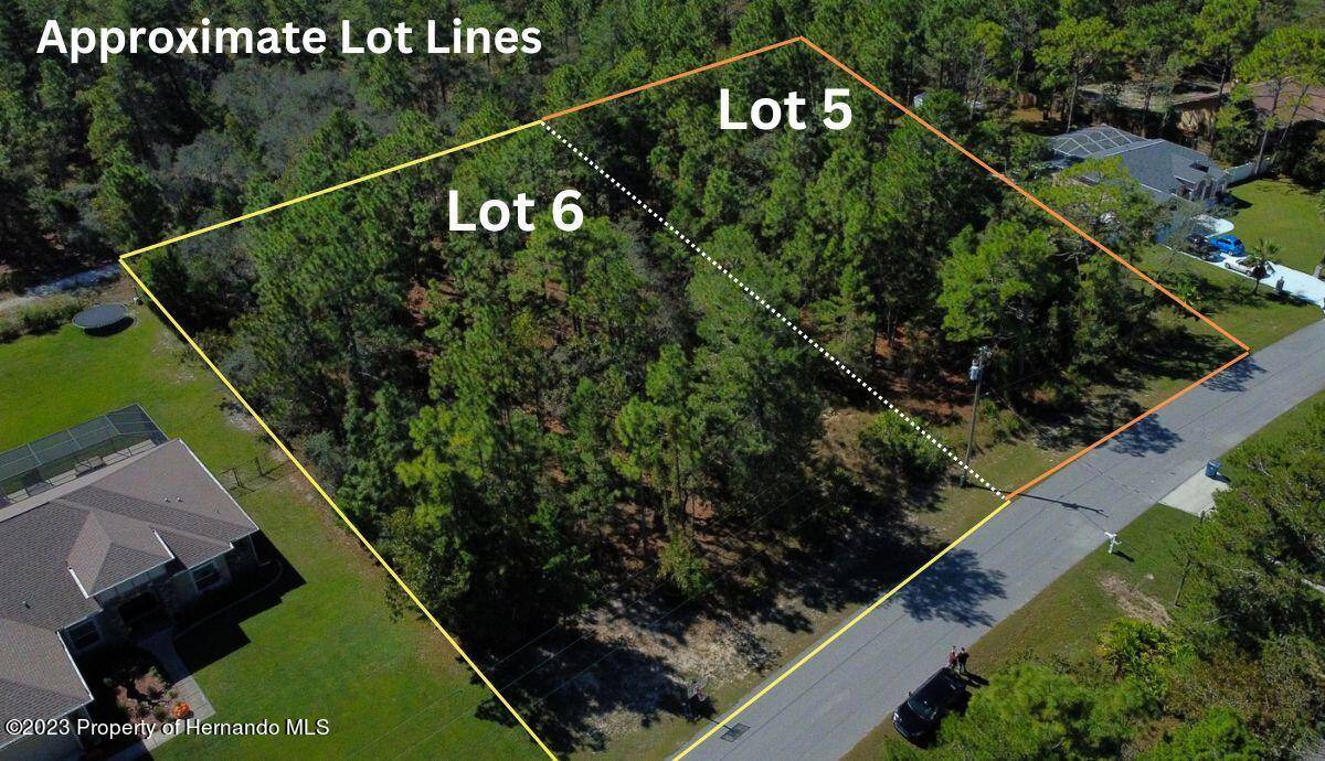 Weeki Wachee, FL 34613,Lot 6 Flock Avenue