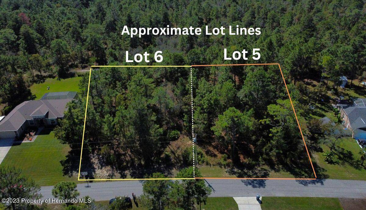 Weeki Wachee, FL 34613,Lot 6 Flock Avenue