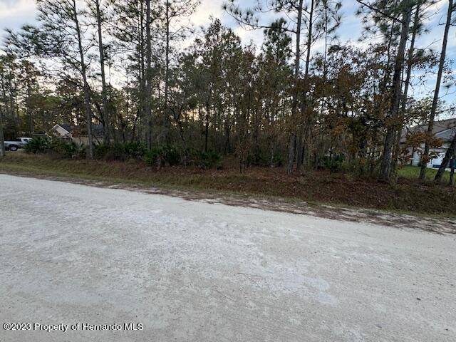 Weeki Wachee, FL 34613,17469 Macassar Road