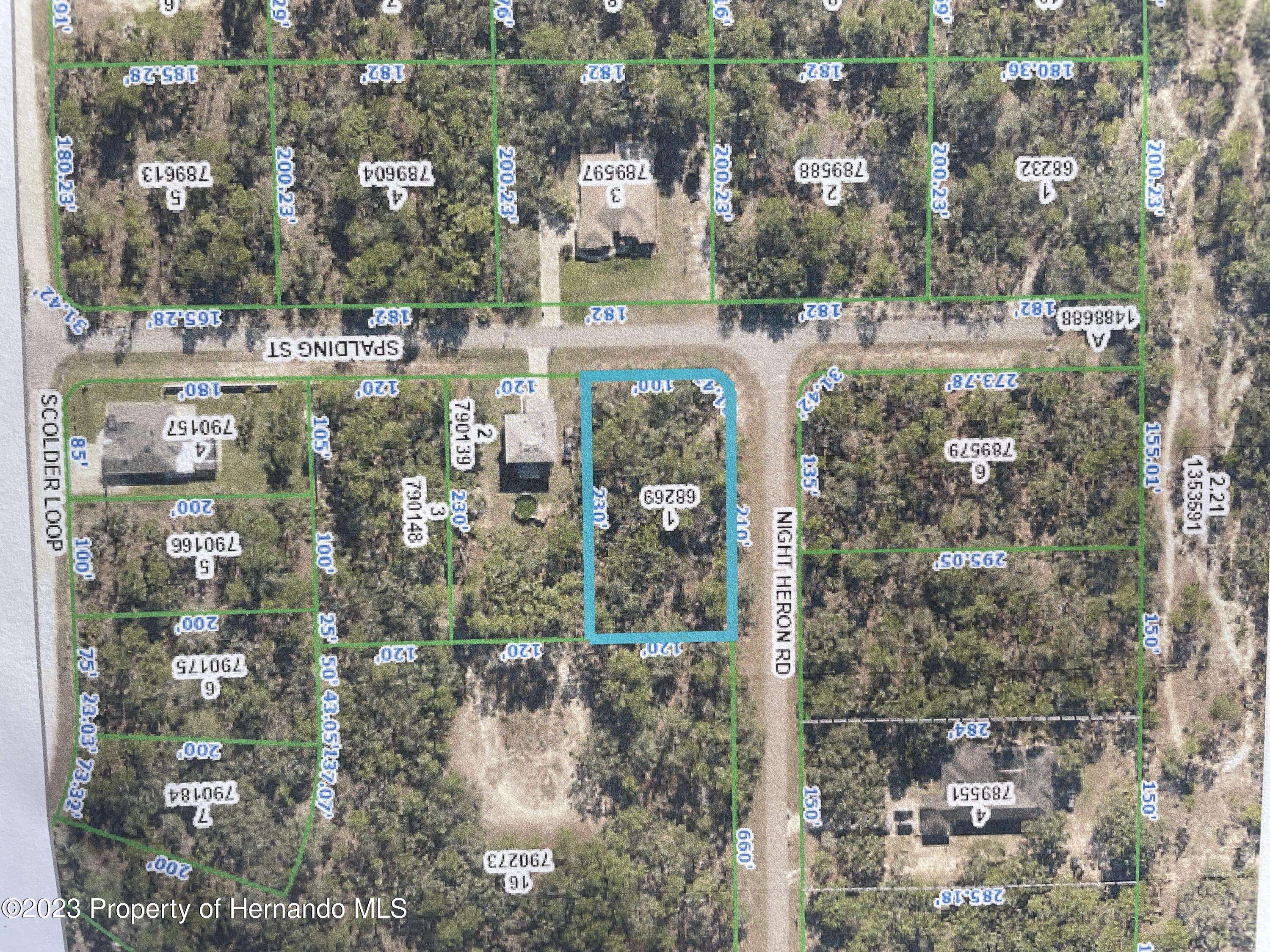 Weeki Wachee, FL 34614,Lot 1 Night Heron Road