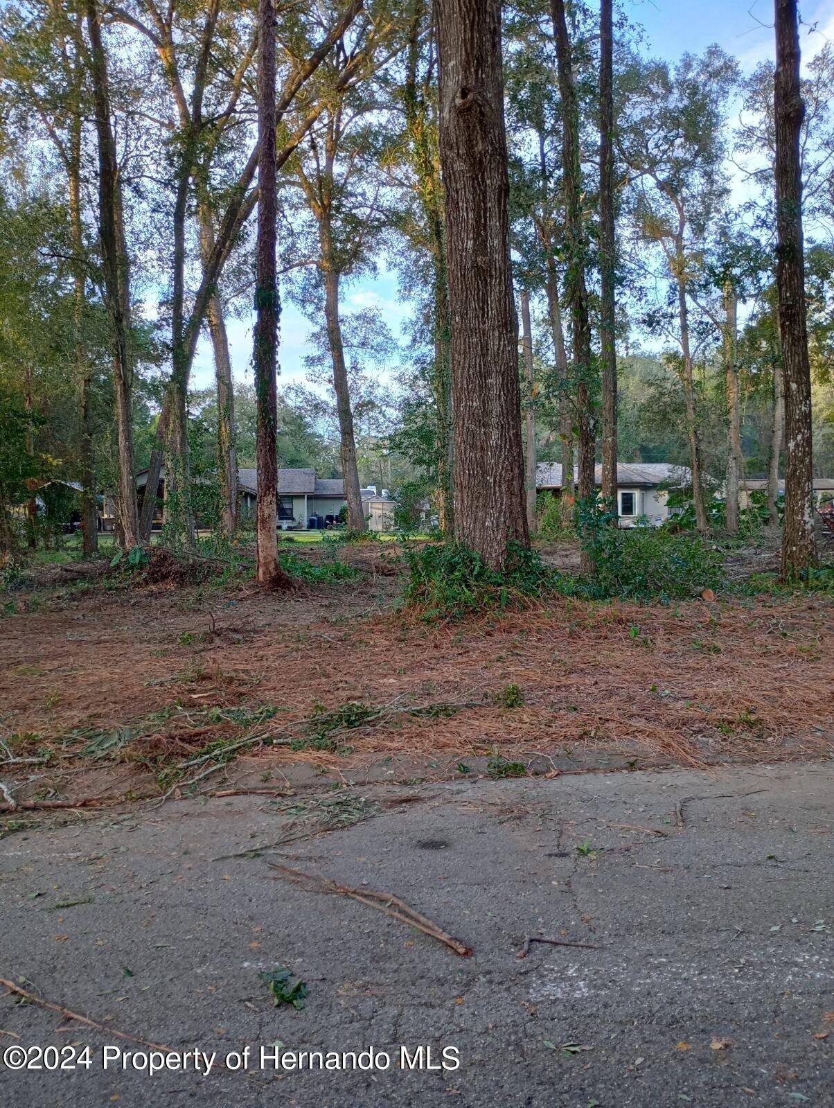 Inverness, FL 34452,5975 E Daly Lane