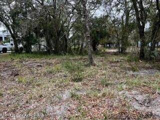 Spring Hill, FL 34606,0 Kass Circle