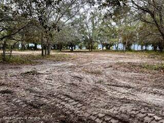 Spring Hill, FL 34606,0 Kass Circle