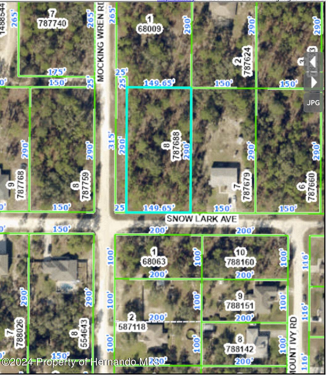 Weeki Wachee, FL 34614,0 Snow Lark Avenue #7