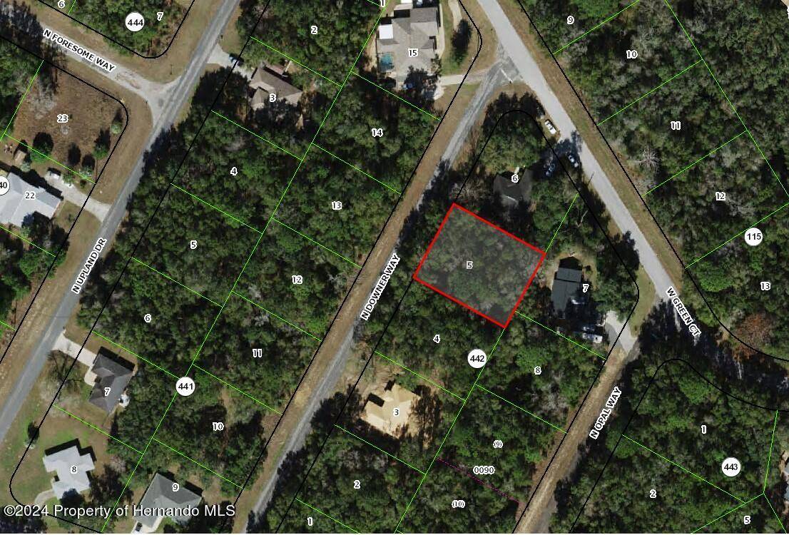 Citrus Springs, FL 34434,8321 N DOWNER Way N