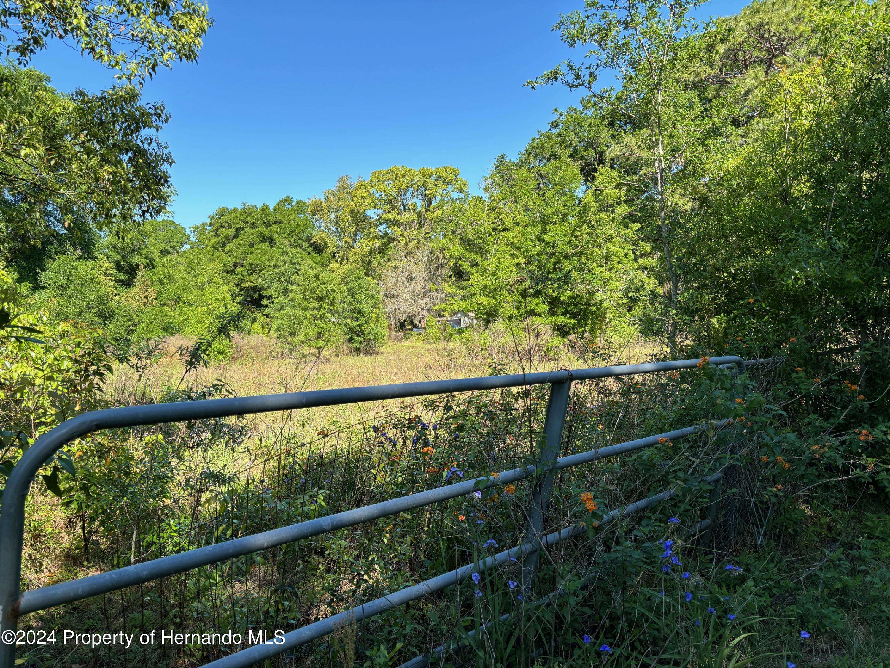 Brooksville, FL 34602,Lot 10 Ogburn Street