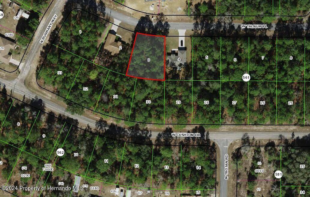 Citrus Springs, FL 34433,3386 W TALINUM