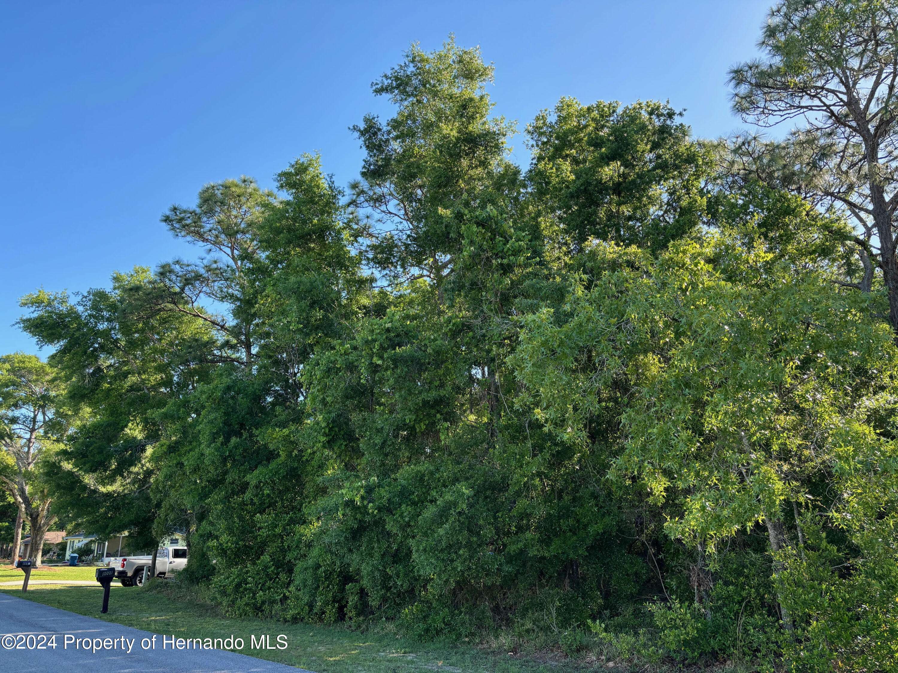 Brooksville, FL 34613,Lot 17 Simmons Street