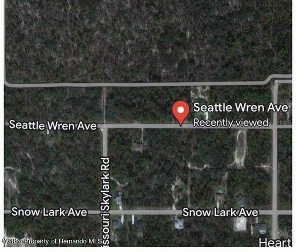 Weeki Wachee, FL 34614,11199 Seattle Wren Avenue