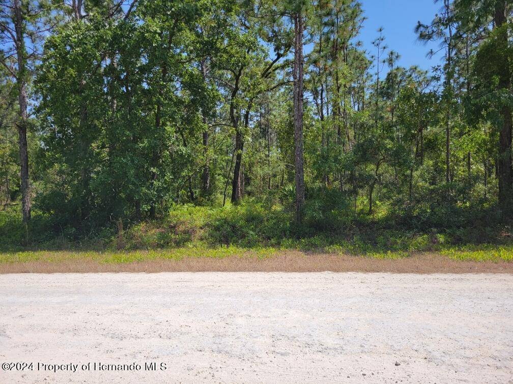 Weeki Wachee, FL 34614,0 Schick Avenue