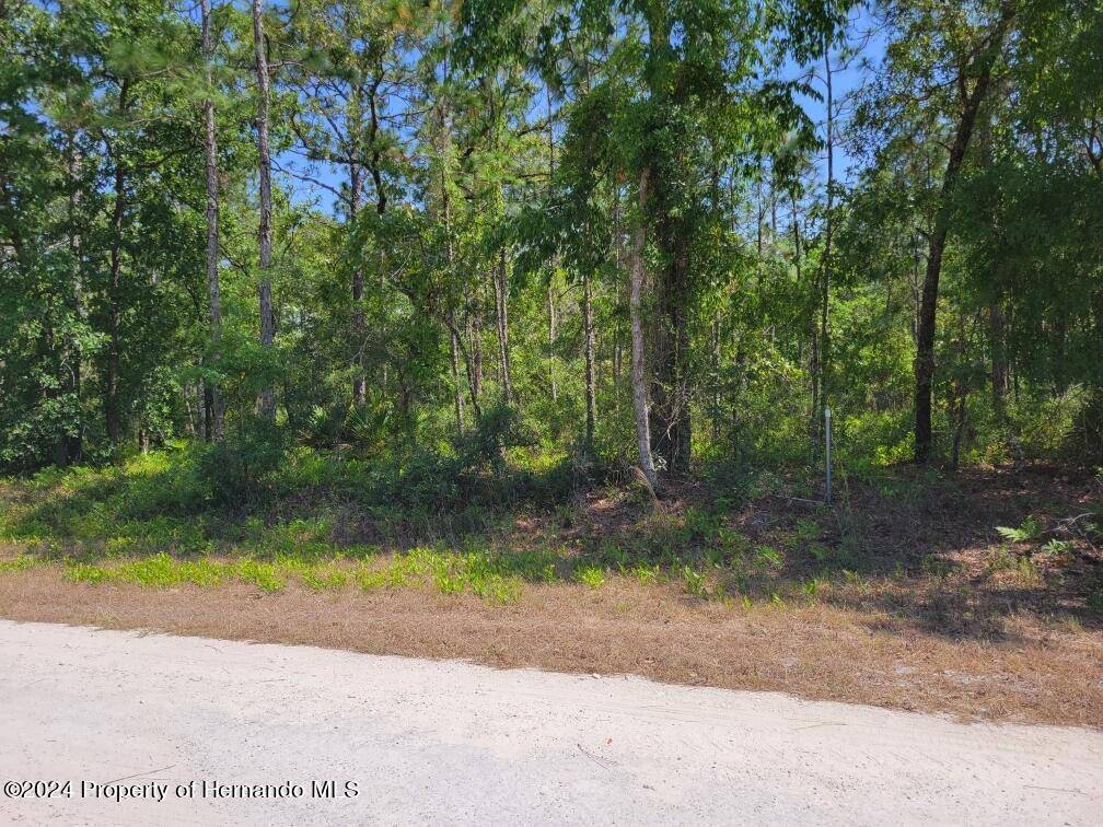 Weeki Wachee, FL 34614,0 Schick Avenue