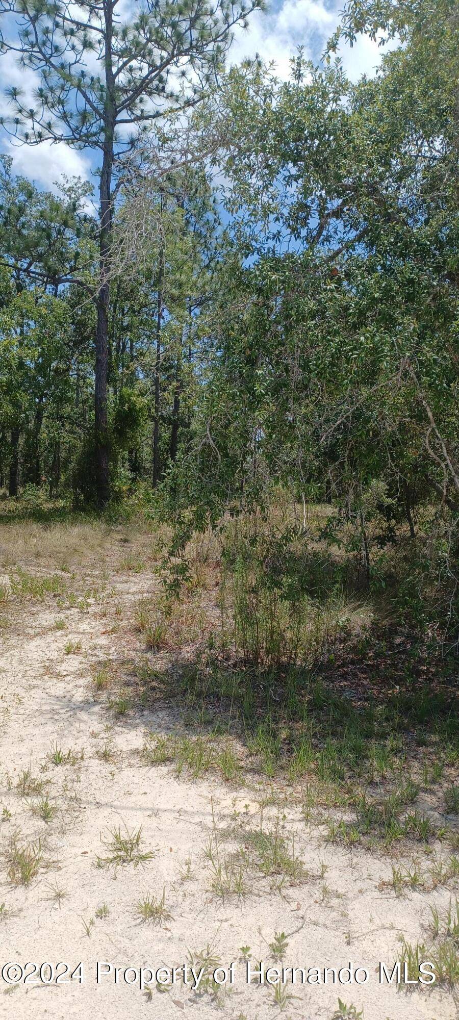 Brooksville, FL 34614,0 Hawley Road