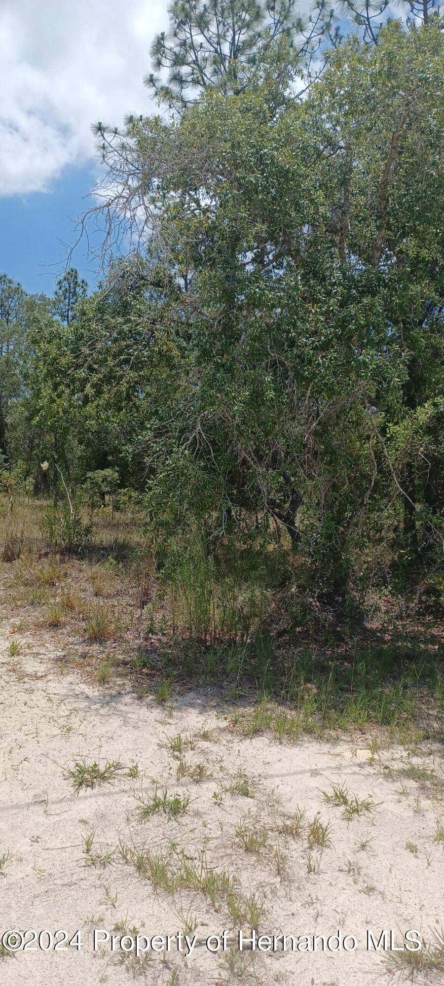 Brooksville, FL 34614,0 Hawley Road