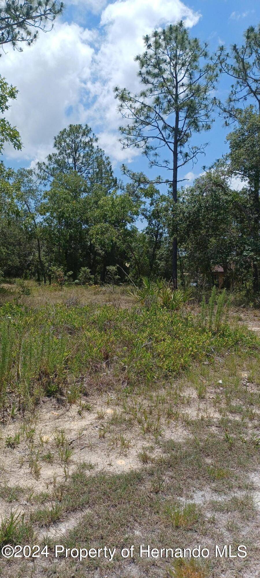 Brooksville, FL 34614,0 Hawley Road