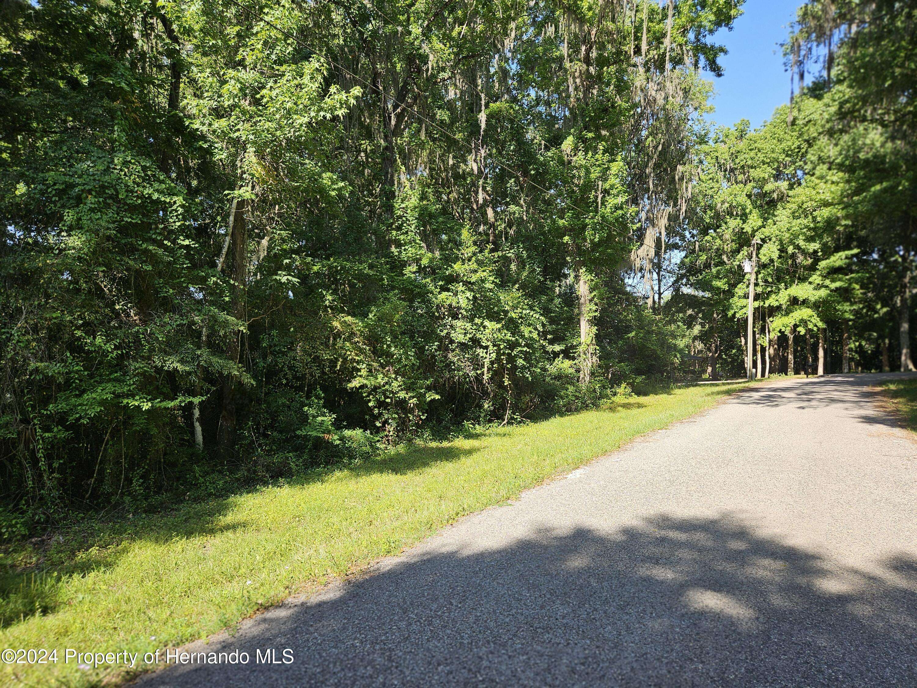 Brooksville, FL 34602,0 Fitzhugh Avenue