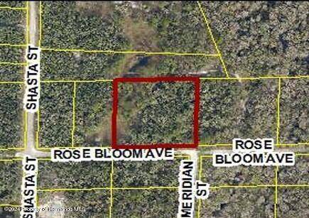 Webster, FL 33597,0 Rose Bloom Avenue