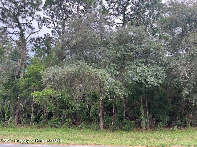 Spring Hill, FL 34608,0 Elgin Boulevard