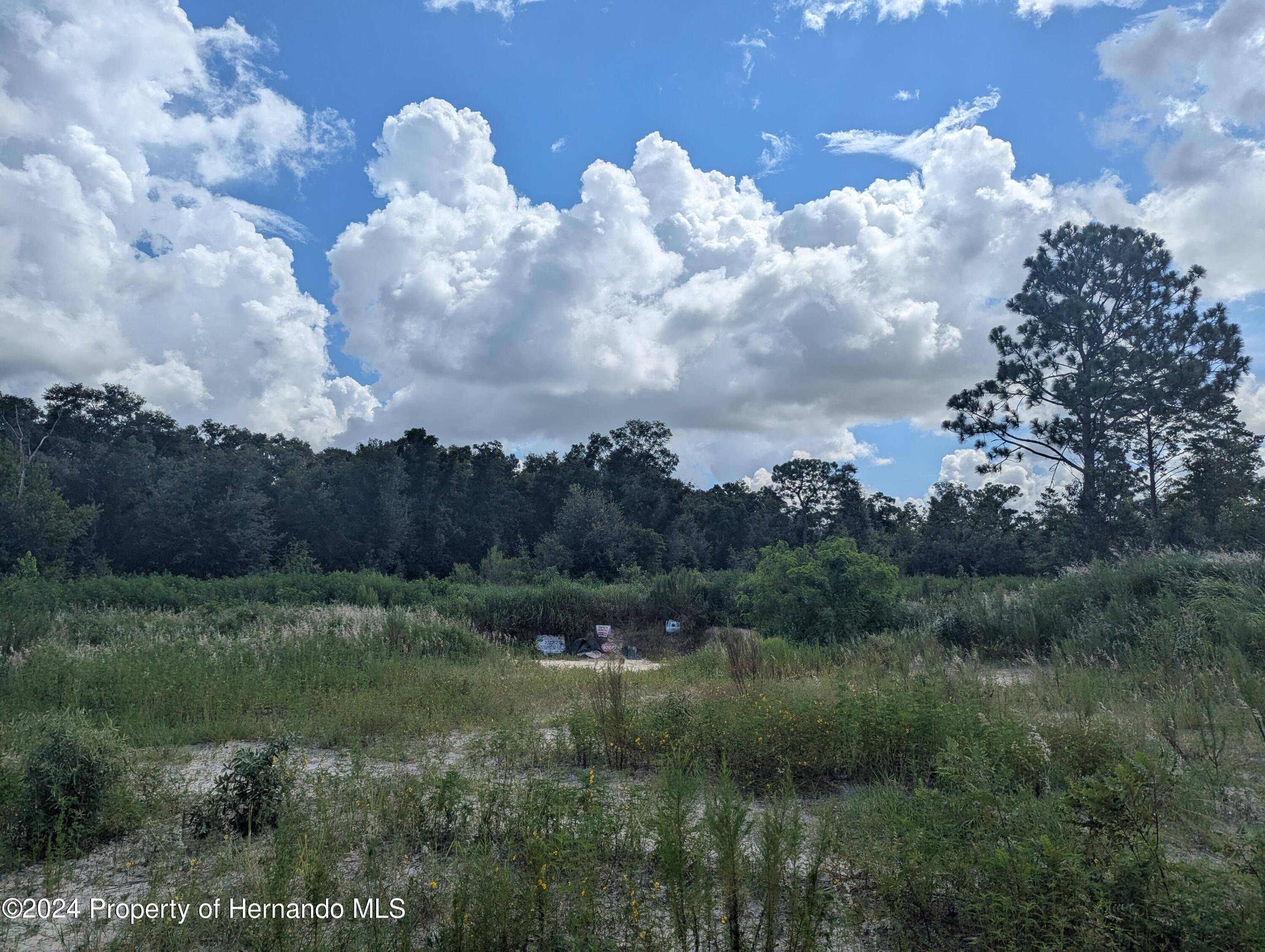 Brooksville, FL 34614,14402 TRINITY Road