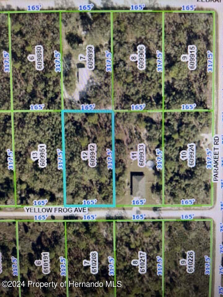 Brooksville, FL 34614,0 Yellow Frog Avenue #1