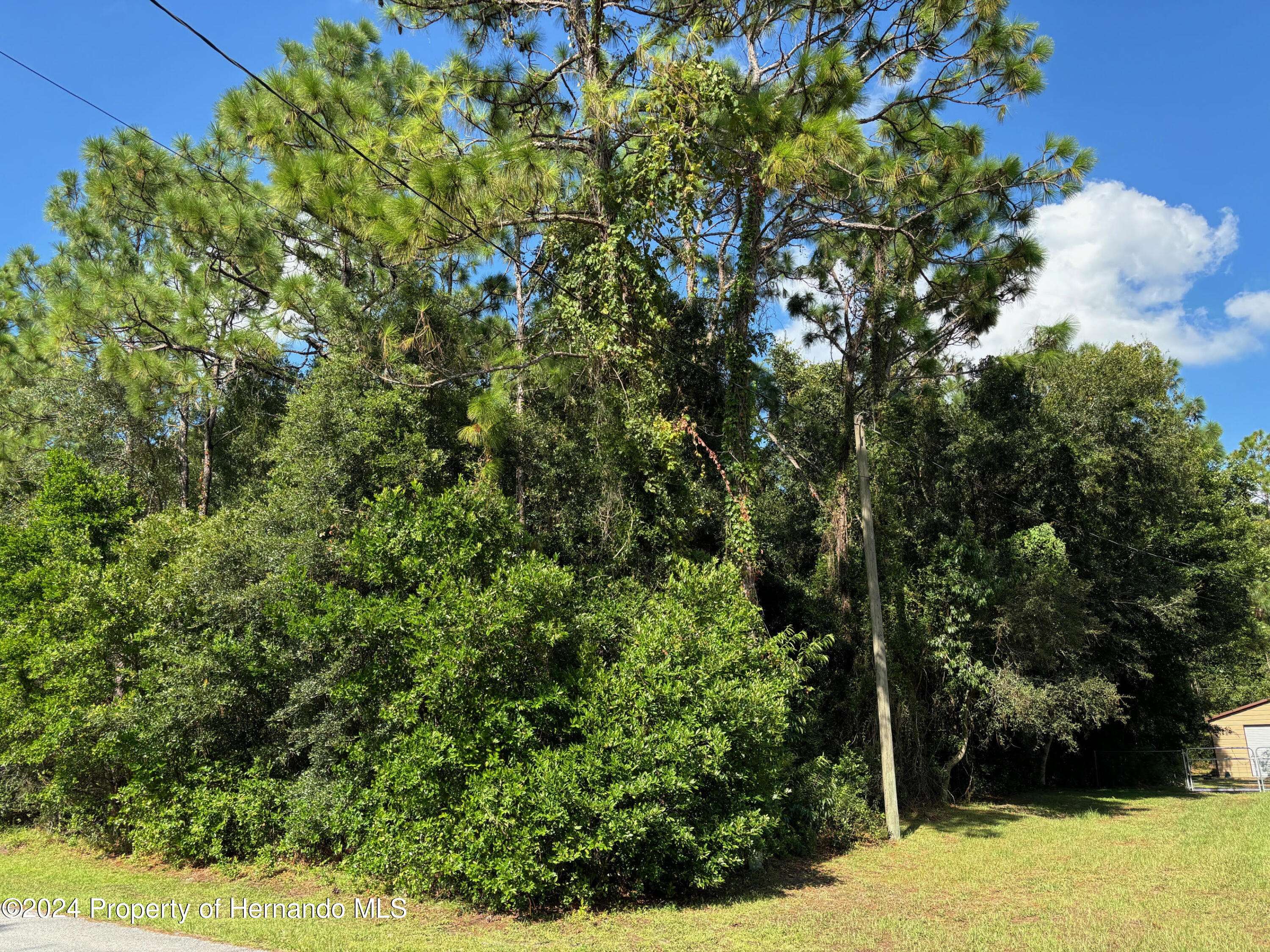 Brooksville, FL 34613,Lot 18 Simmons Street