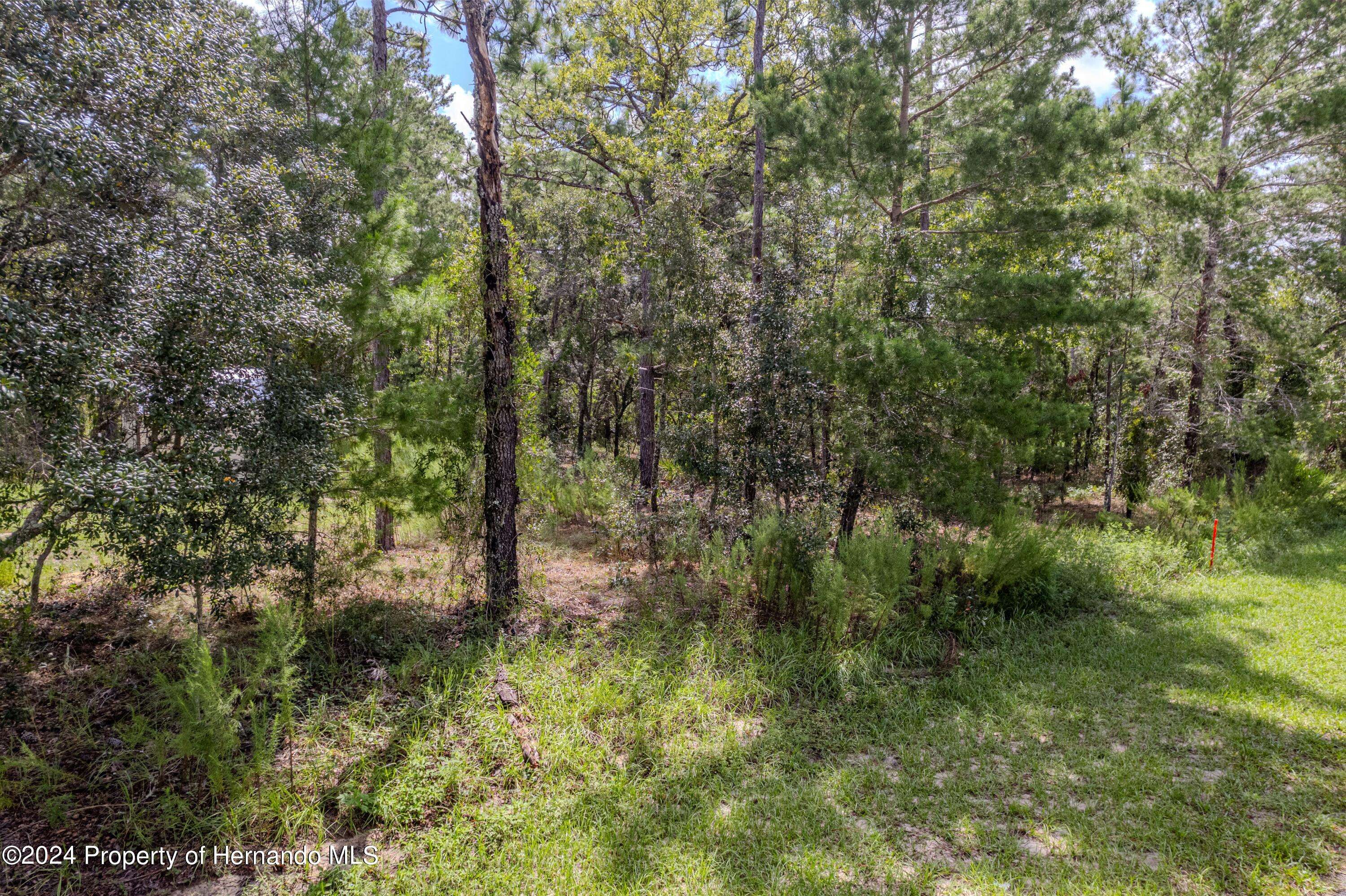 Weeki Wachee, FL 34614,LOT 4 KISKA WREN Road