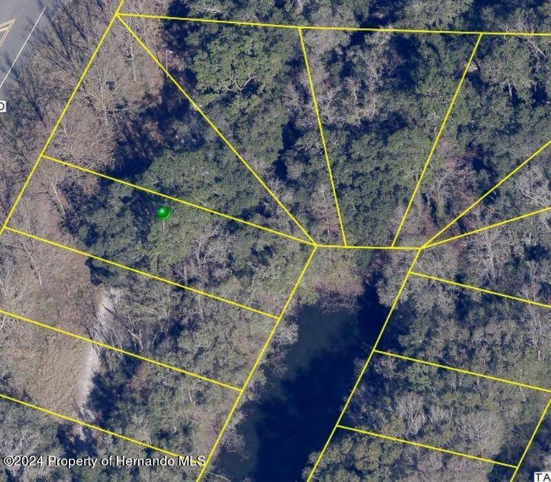 Brooksville, FL 34602,0 Treiman Boulevard #Lots 2-6